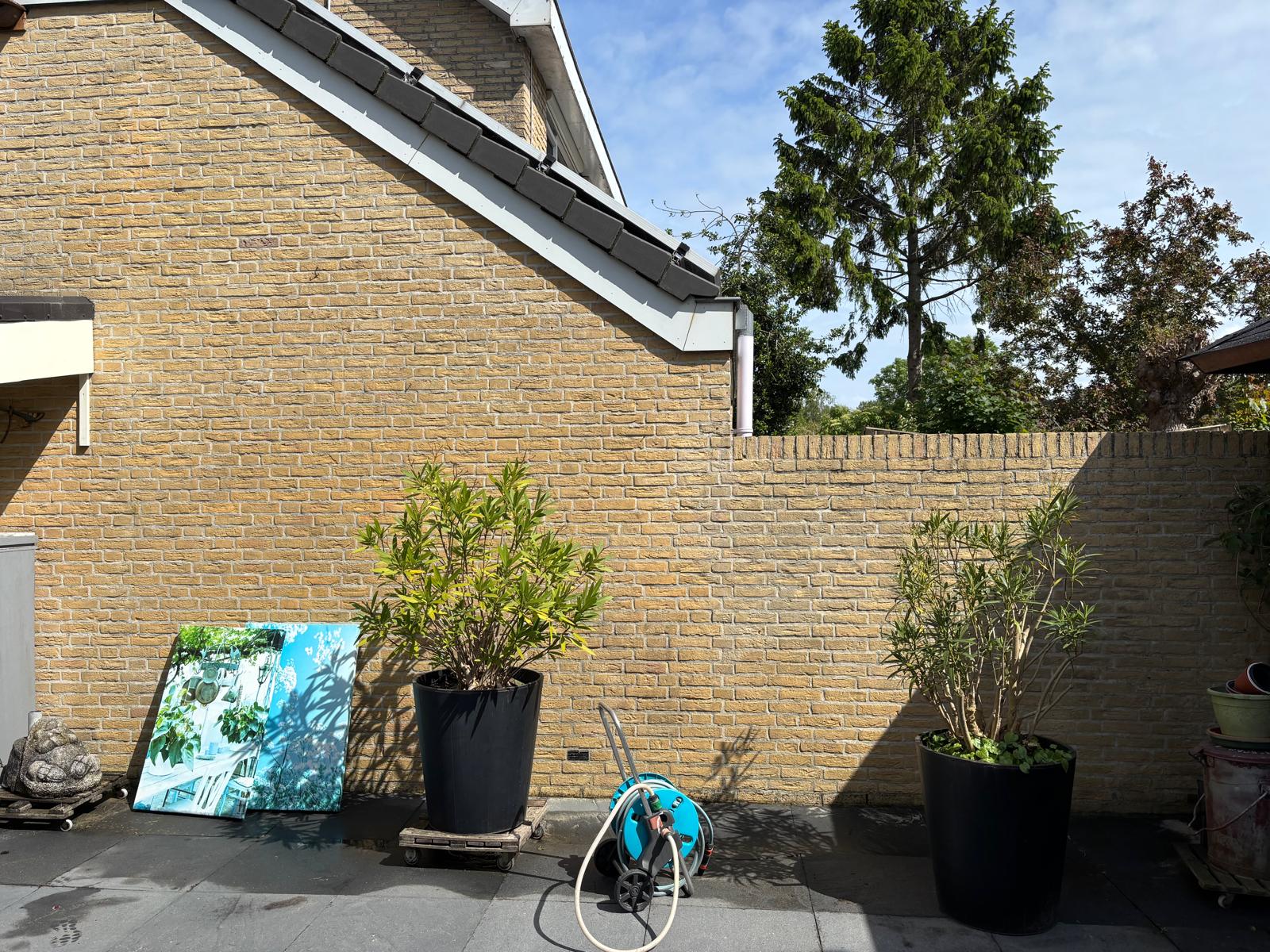 Onderhouden achtertuin met vaste planten