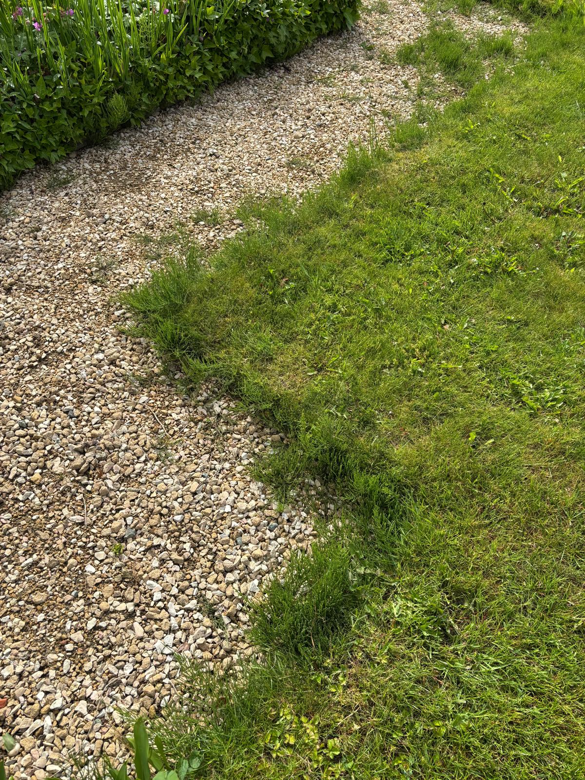 Grindpad langs border met vaste planten