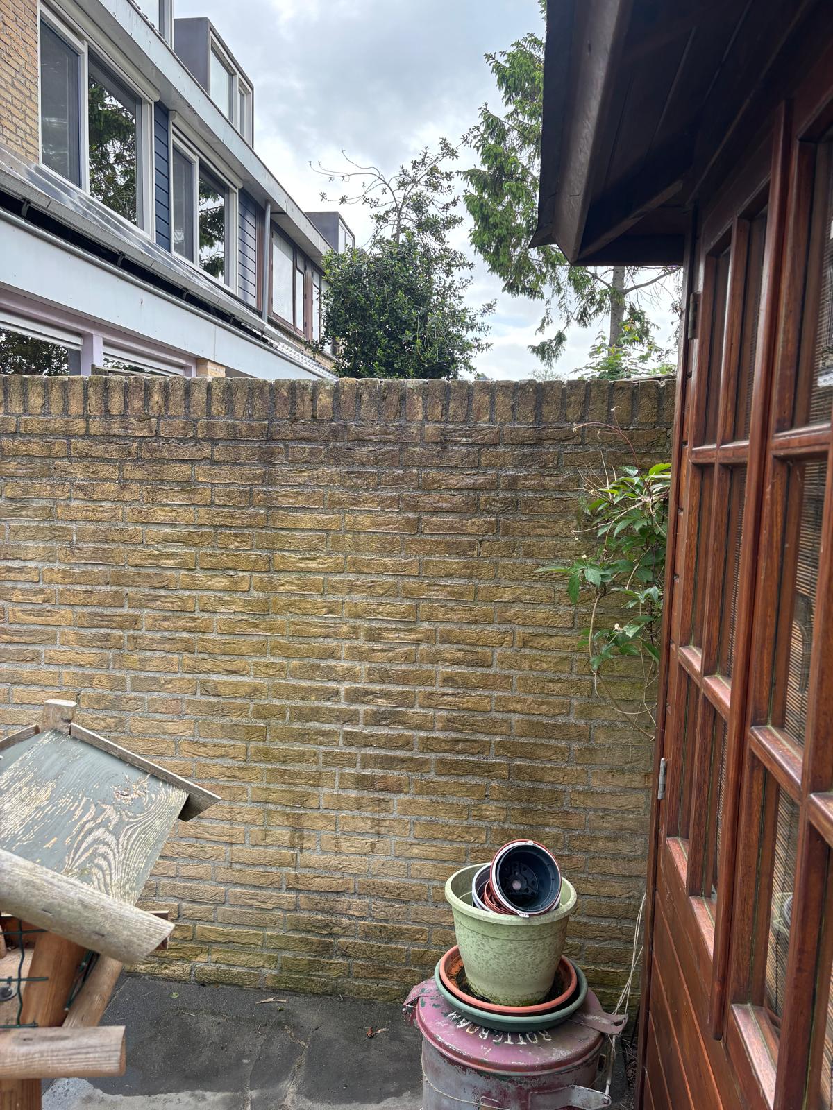 Tuinaanleg met taxus-bollen en kleurrijke beplanting