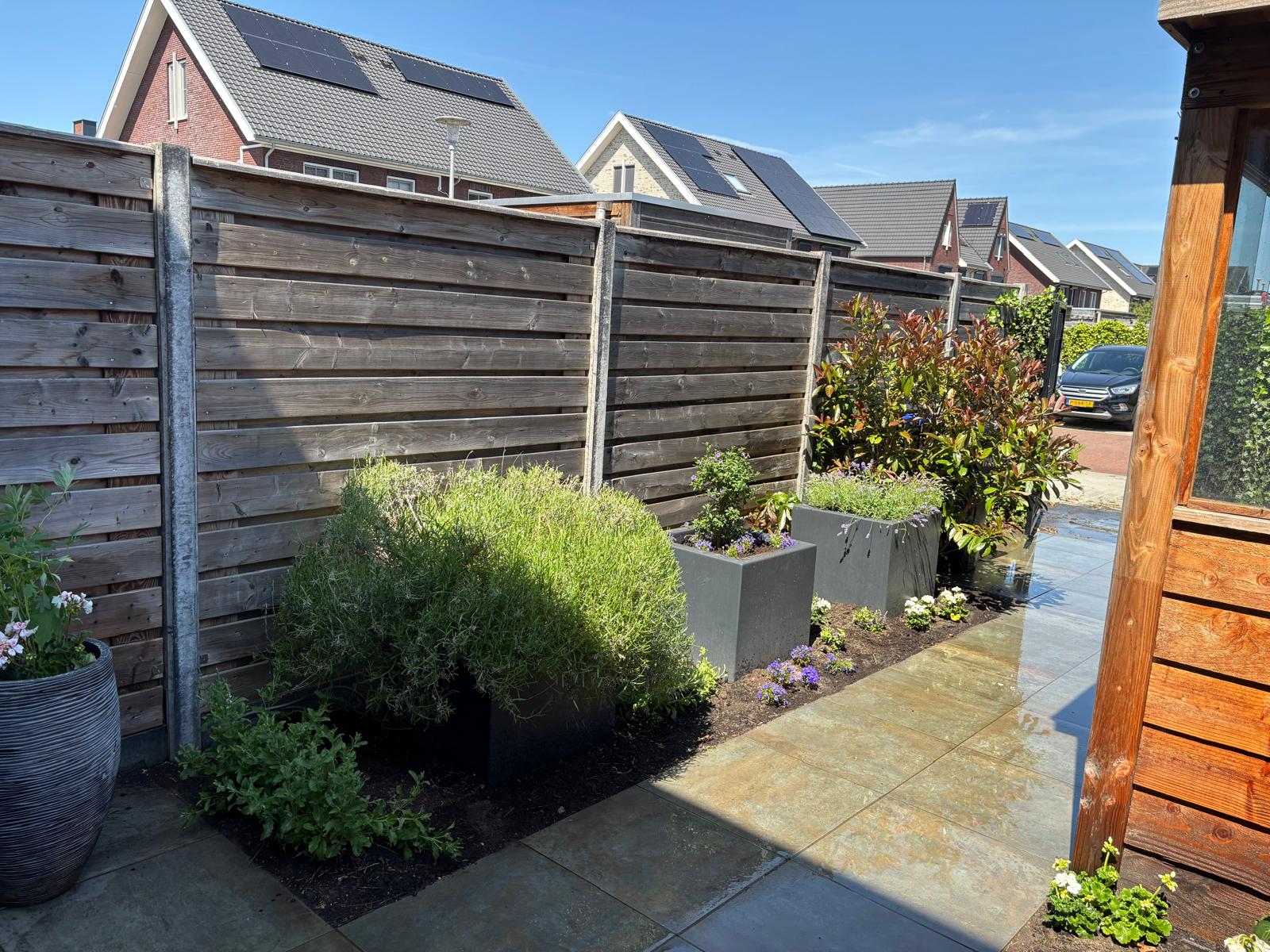 Tuinontwerp met waterkant en gazon