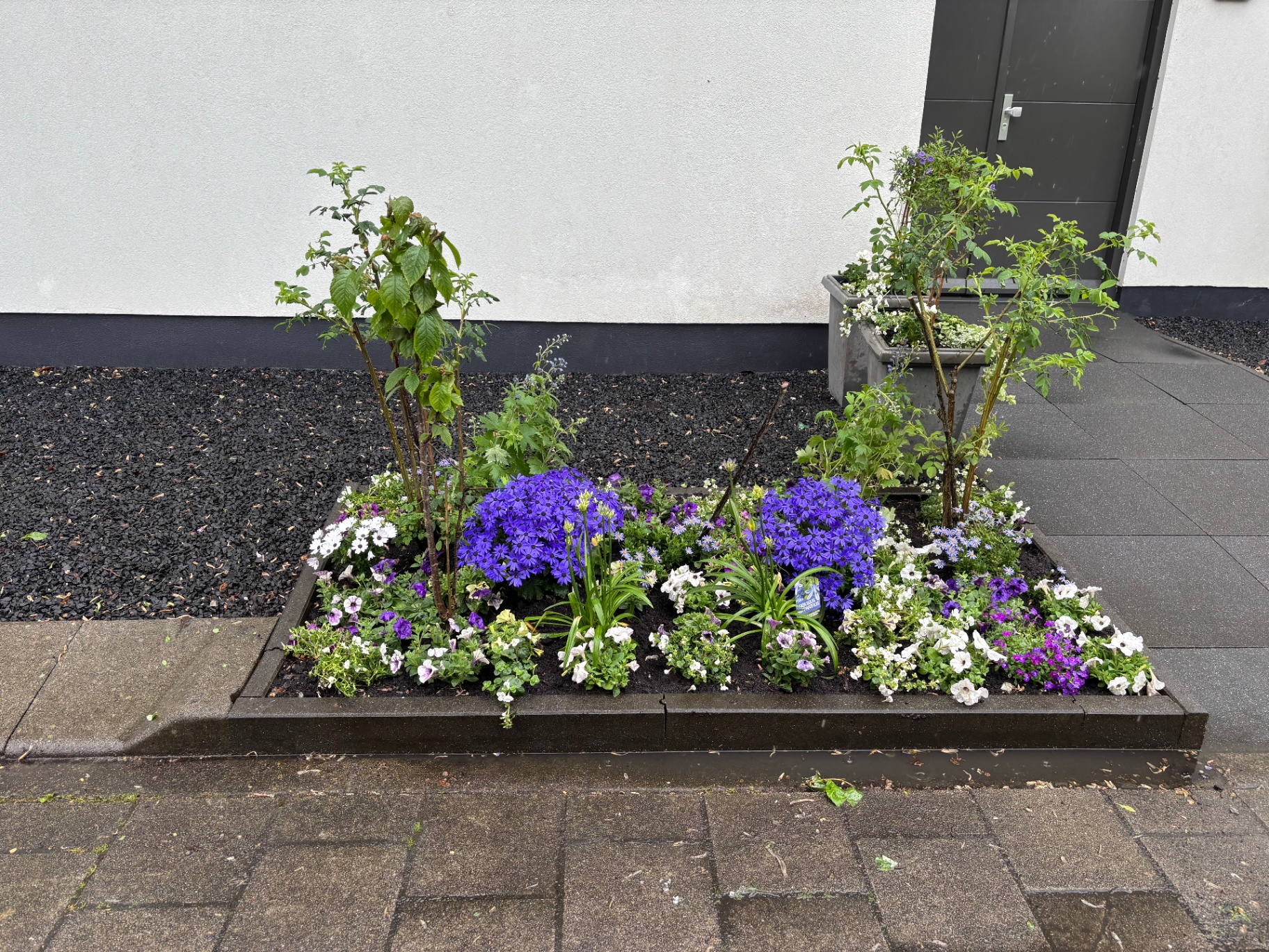 Groen aanplanten